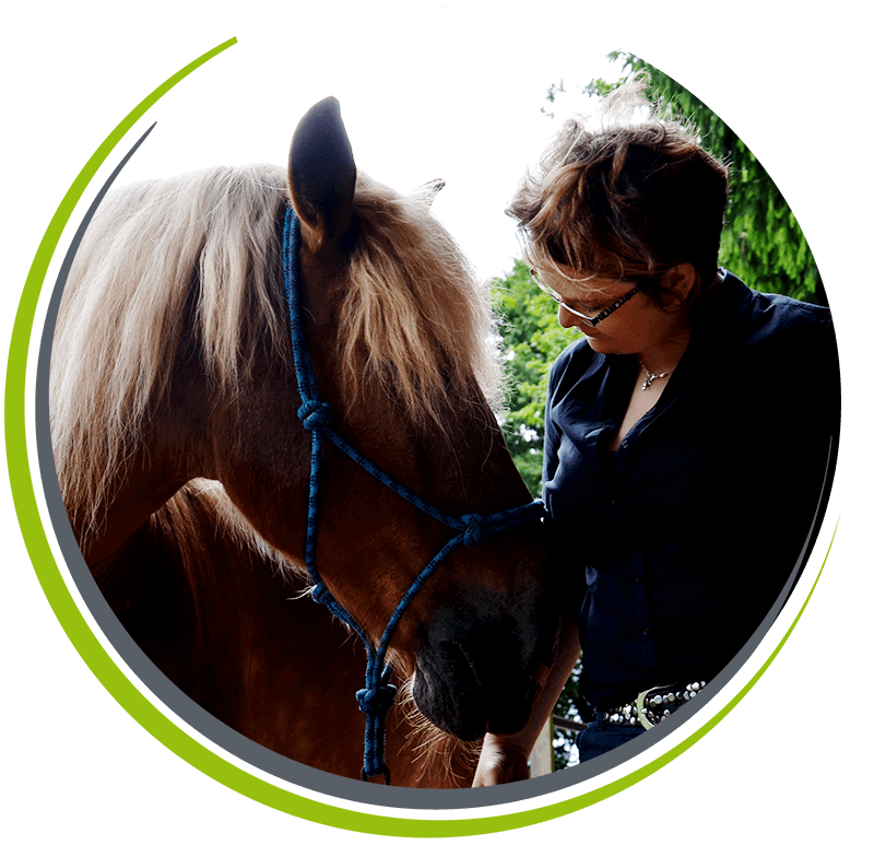 Pferdewahrnehmung | moved by horses ...bewegt durch Pferde Astrid Küllmar